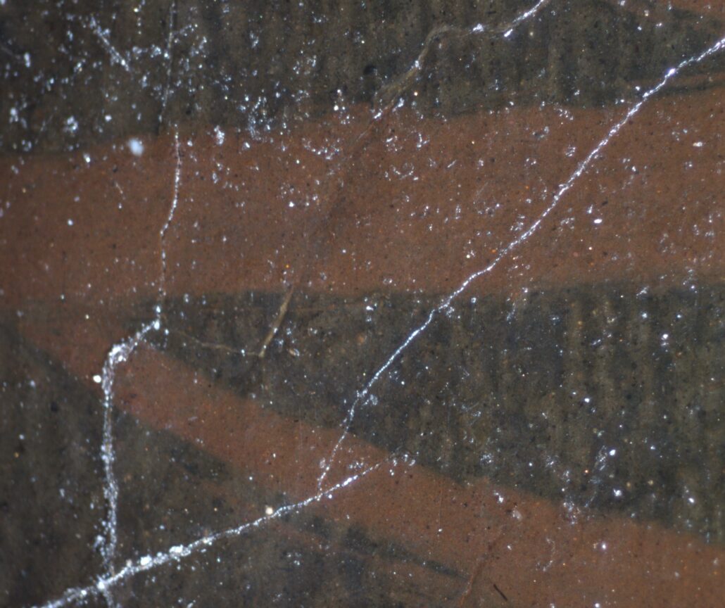 Фотоизображение поздней подписи в микроскоп: краска затекает в кракелюр красочного слоя