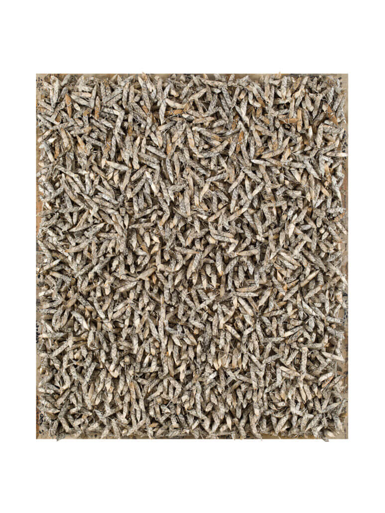 кван йонг чан 1